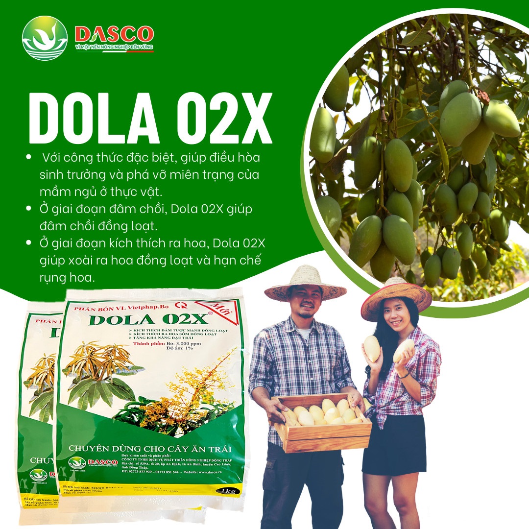 Phân bón lá Dola 02X - Xổ lá nhanh, ra hoa đồng loạt